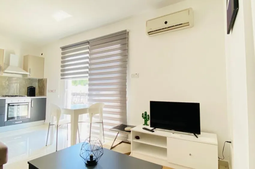 Fully Furnished 1-Bedroom Apartment with Tenant Next to Girne American University