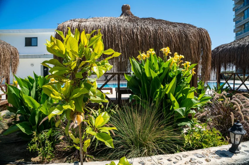 Lägenhet med 1 sovrum i Aphrodite Park Residence, fullt möblerad