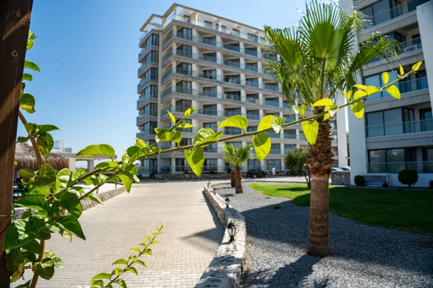 Lägenhet med 1 sovrum i Aphrodite Park Residence, fullt möblerad