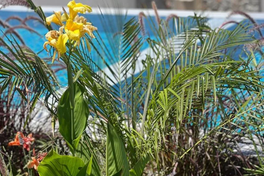 Esentepe, Kyrenia – Private Gartenwohnung mit Infinity-Pool und Meerblick