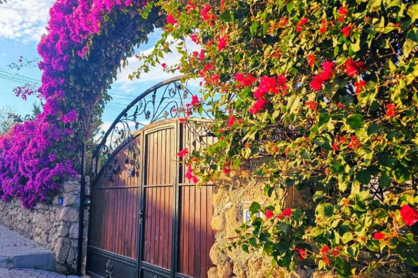 Fully Renovated Traditional Luxury Villa in Lapta – Space, Character & Coastal Living