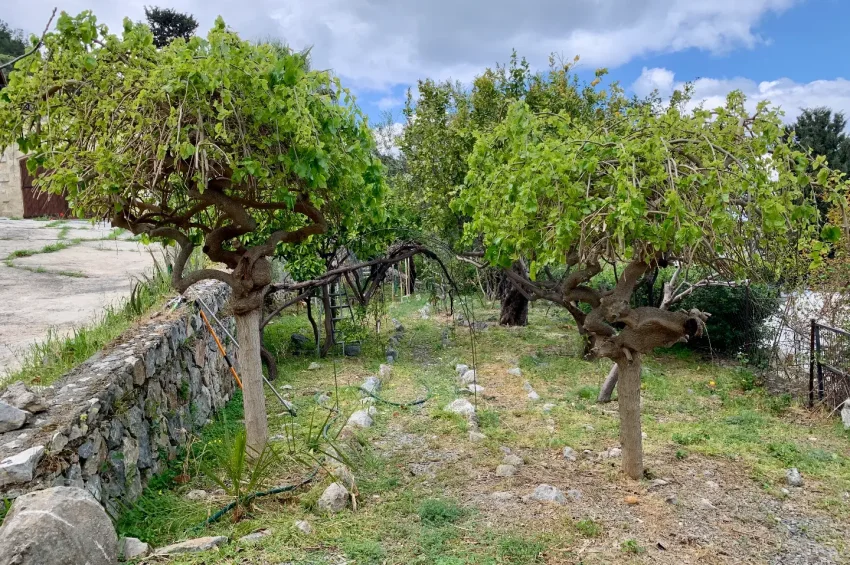 Stenvilla på 1 640 m² tomt i Baspınar, Lapta