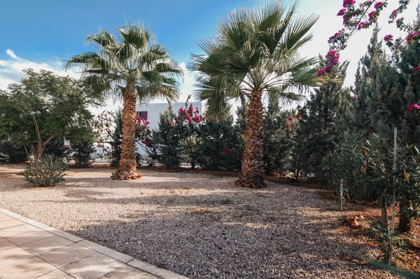 4 Bedroom Private Villa within Walking Distance to the Shore